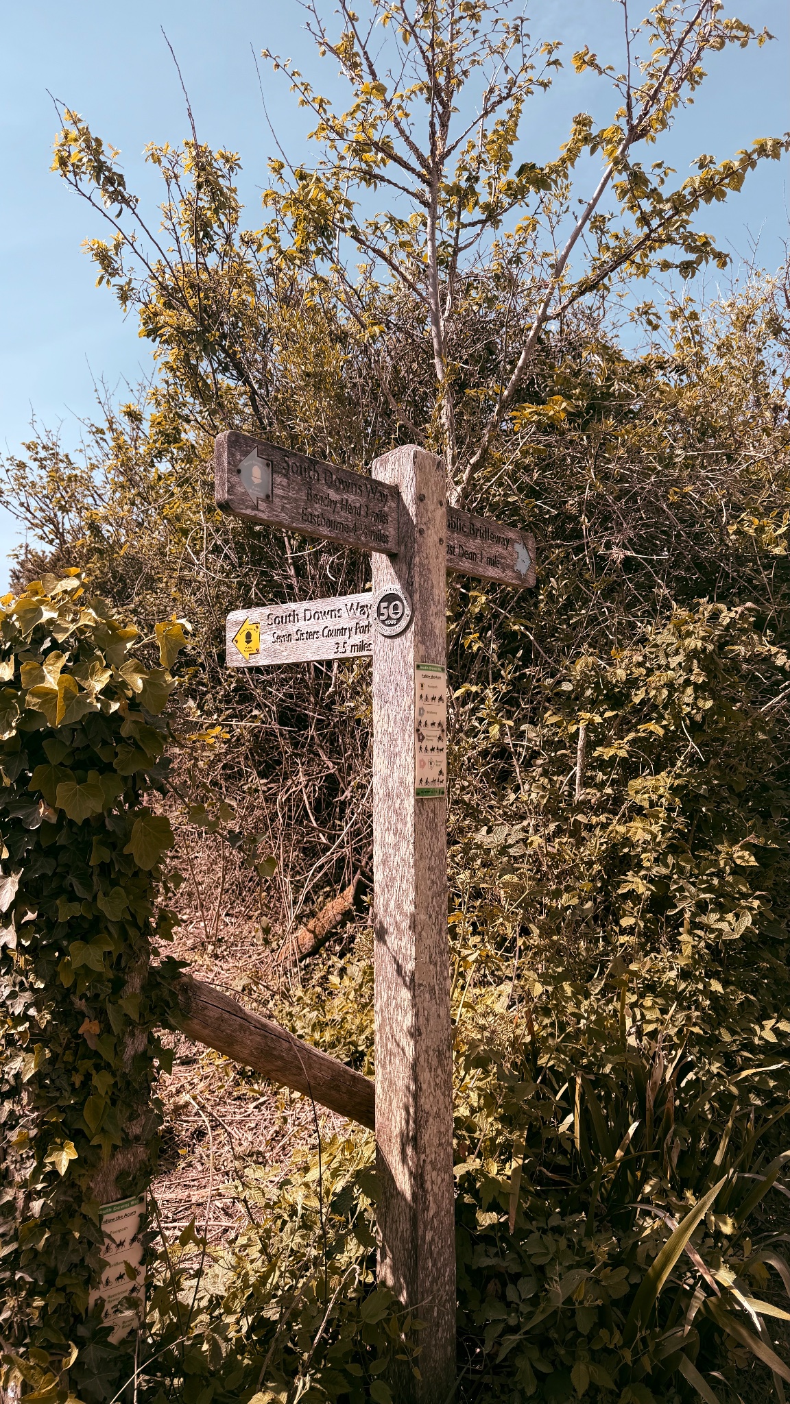 Weathered oak South Downs Way fingerpost